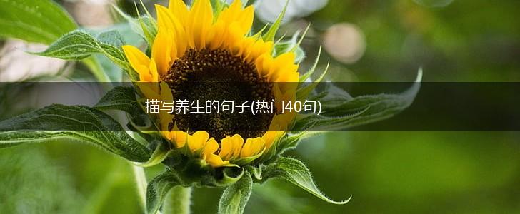 描写养生的句子(热门40句),第1张