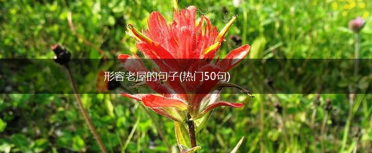 形容老屋的句子(热门50句),第1张