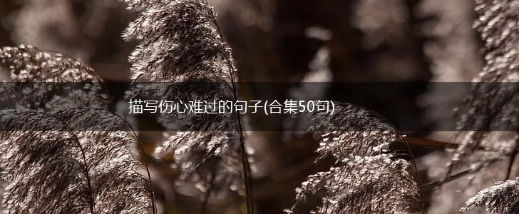 描写伤心难过的句子(合集50句),第1张