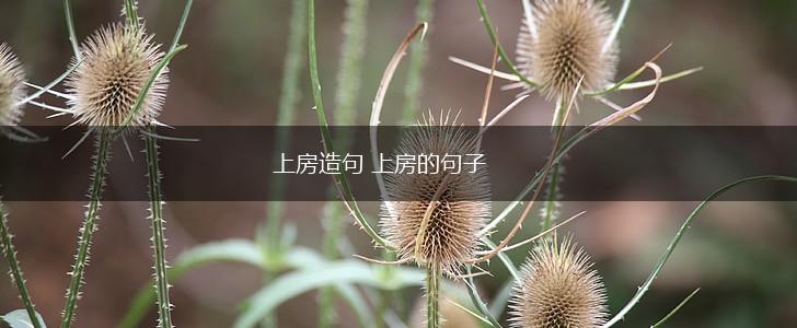 上房造句 上房的句子,第1张