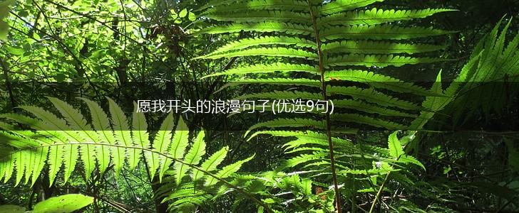 愿我开头的浪漫句子(优选9句),第1张
