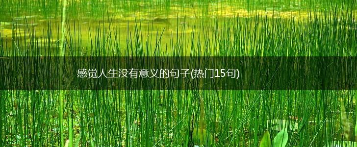 感觉人生没有意义的句子(热门15句),第1张