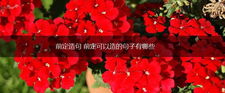 前定造句 前定可以造的句子有哪些,第1张