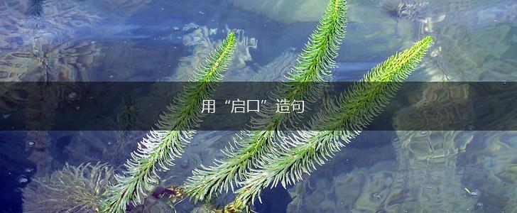 用“启口”造句,第1张