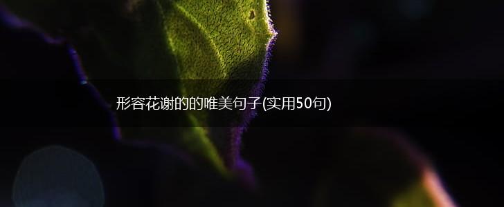 形容花谢的的唯美句子(实用50句),第1张