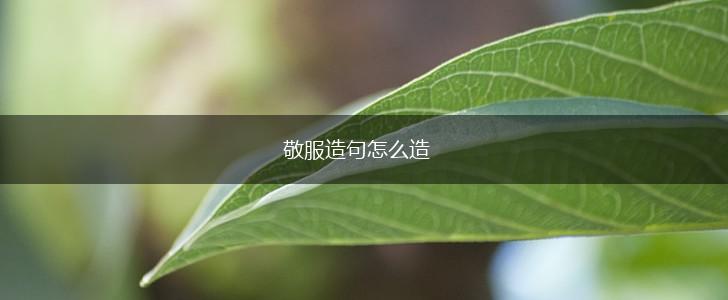 敬服造句怎么造,第1张
