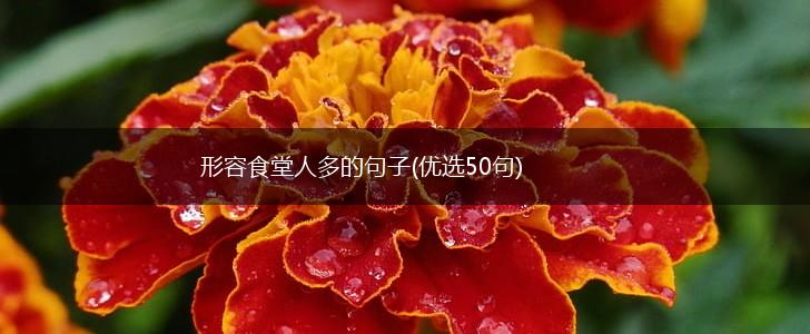 形容食堂人多的句子(优选50句),第1张