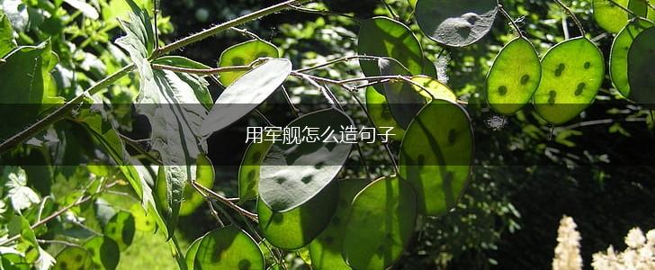 用军舰怎么造句子,第1张