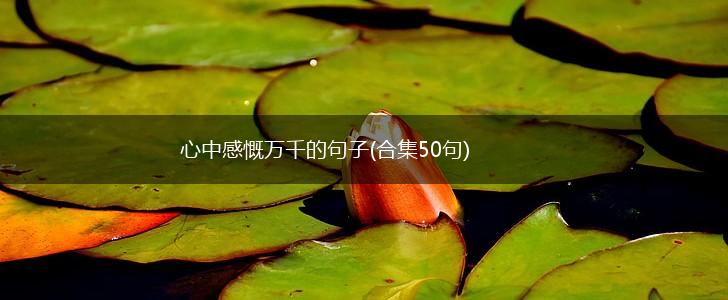 心中感慨万千的句子(合集50句),第1张