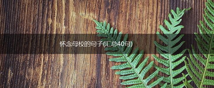 怀念母校的句子(汇总40句),第1张