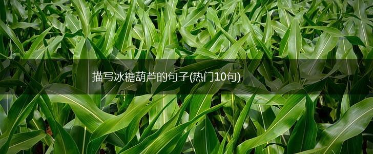 描写冰糖葫芦的句子(热门10句),第1张