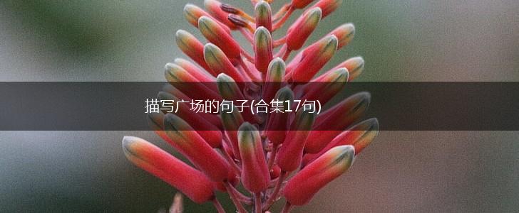 描写广场的句子(合集17句),第1张