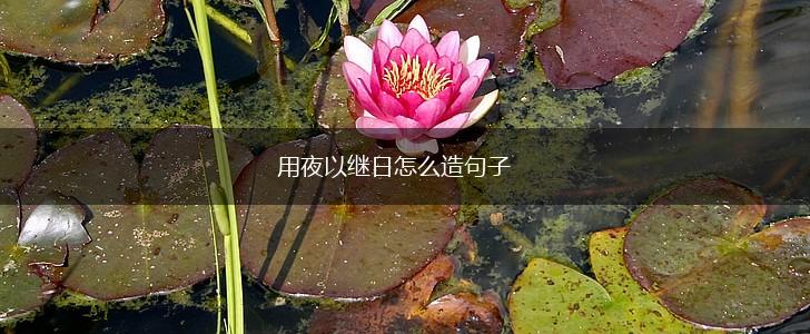 用夜以继日怎么造句子,第1张
