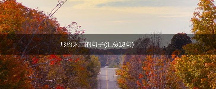 形容禾苗的句子(汇总18句),第1张