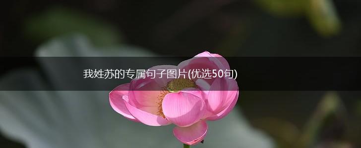 我姓苏的专属句子图片(优选50句),第1张