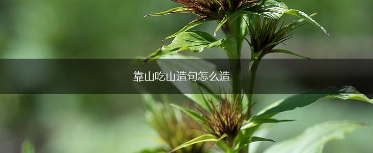 靠山吃山造句怎么造,第1张
