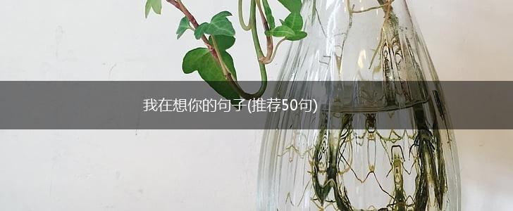 我在想你的句子(推荐50句),第1张