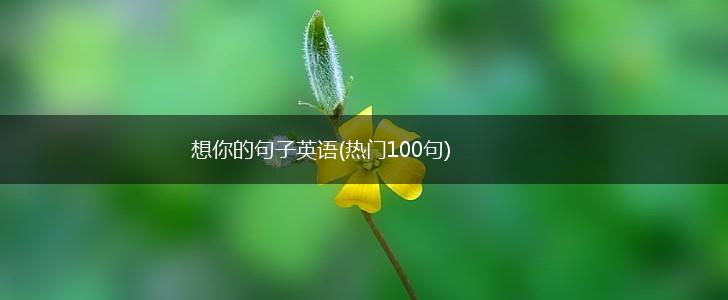想你的句子英语(热门100句),第1张