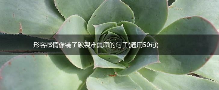 形容感情像镜子破裂难复原的句子(通用50句),第1张