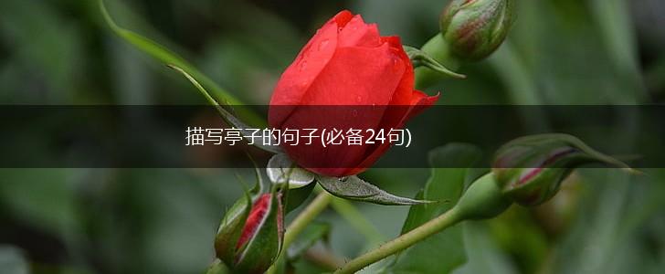 描写亭子的句子(必备24句),第1张