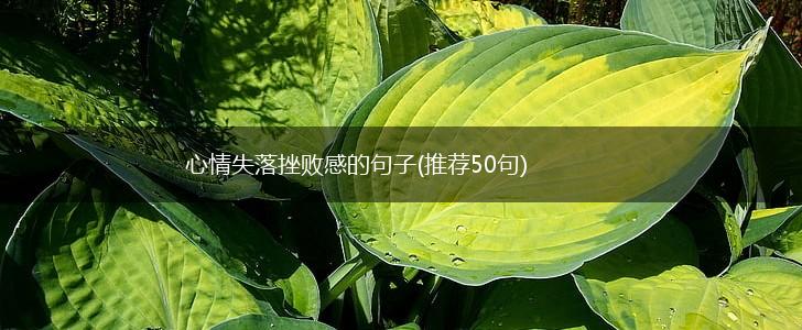 心情失落挫败感的句子(推荐50句),第1张