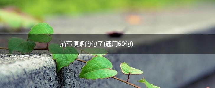描写哽咽的句子(通用60句),第1张