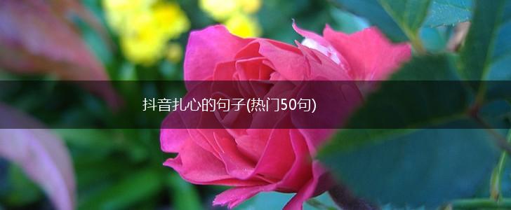 抖音扎心的句子(热门50句),第1张