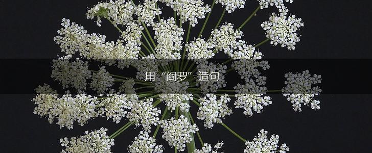用“阎罗”造句,第1张