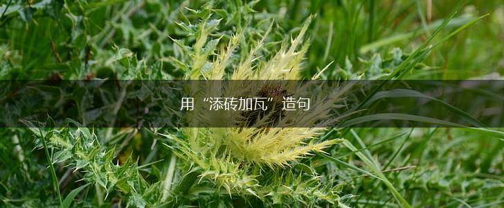 用“添砖加瓦”造句,第1张