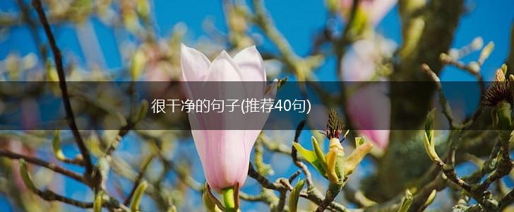 很干净的句子(推荐40句),第1张