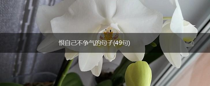 恨自己不争气的句子(49句),第1张
