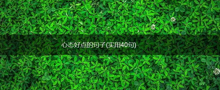 心态好点的句子(实用40句),第1张