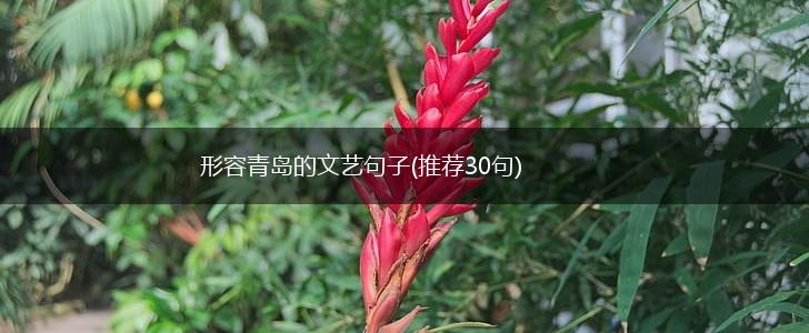形容青岛的文艺句子(推荐30句),第1张