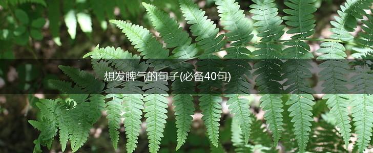 想发脾气的句子(必备40句),第1张