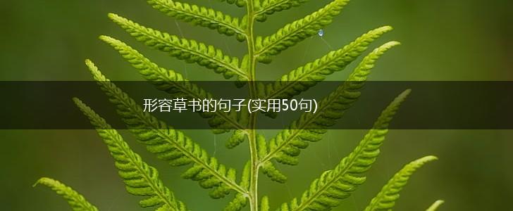 形容草书的句子(实用50句),第1张