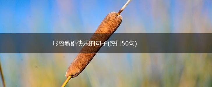 形容新婚快乐的句子(热门50句),第1张