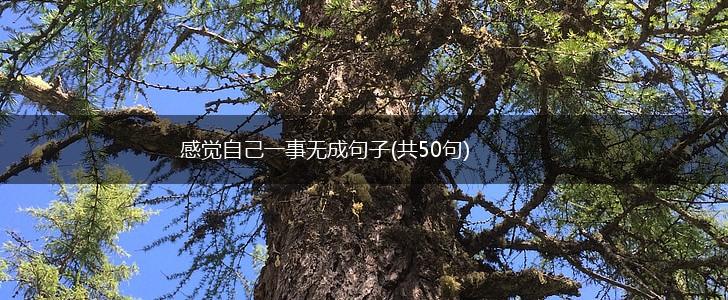 感觉自己一事无成句子(共50句),第1张