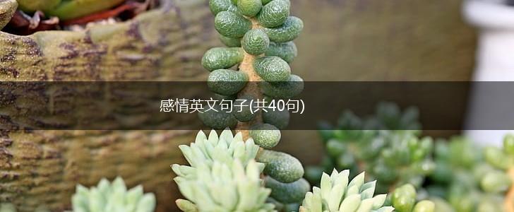 感情英文句子(共40句),第1张