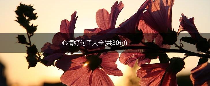 心情好句子大全(共30句),第1张