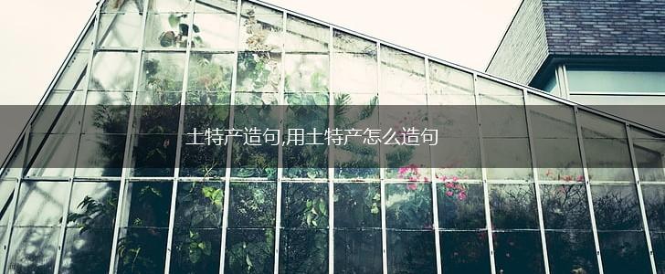 土特产造句,用土特产怎么造句,第1张