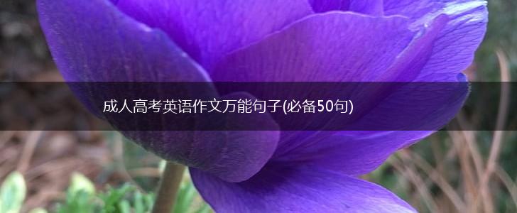 成人高考英语作文万能句子(必备50句),第1张