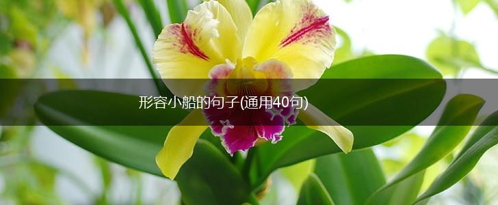 形容小船的句子(通用40句),第1张