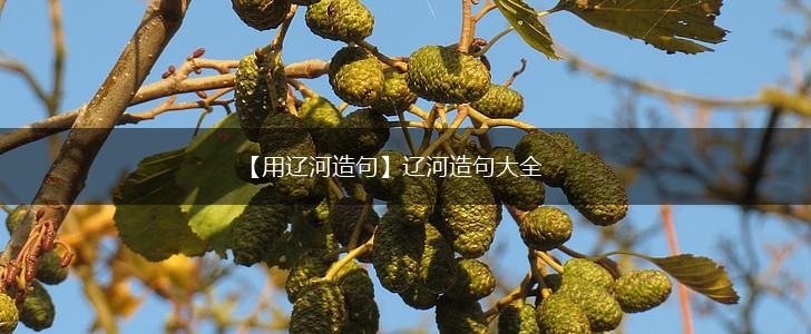 【用辽河造句】辽河造句大全,第1张
