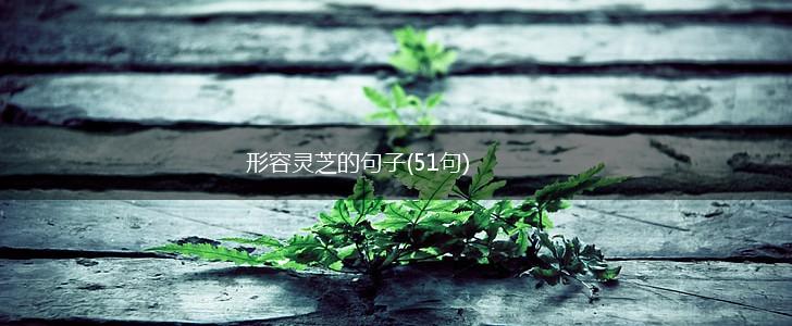 形容灵芝的句子(51句),第1张