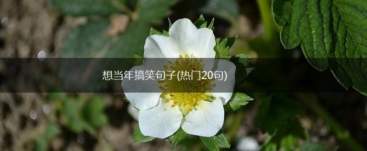 想当年搞笑句子(热门20句),第1张