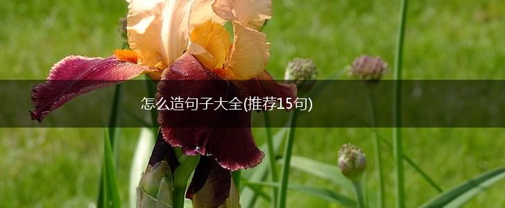 怎么造句子大全(推荐15句),第1张