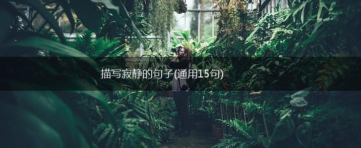 描写寂静的句子(通用15句),第1张