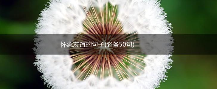 怀念友谊的句子(必备50句),第1张