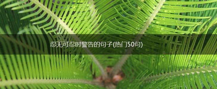 忍无可忍时警告的句子(热门50句),第1张