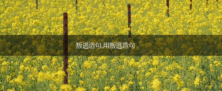 叛逃造句,用叛逃造句,第1张
